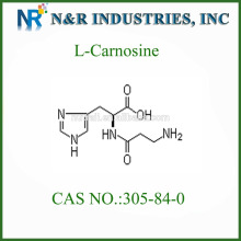 L Carnosine Powder 305-84-0